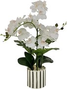 Изкуствено растение atmosphera Orchid Asia, 62 cm, Керамика