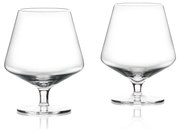 Чаши за ликьор в комплект от 2 броя 450 ml Rocks - Zone