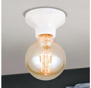 Orion - Плафон FROST 1xE27/60W/230V бял