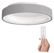 Solight WO768-G - LED таванна светлина TREVISO LED / 48W / 230V + ДУ