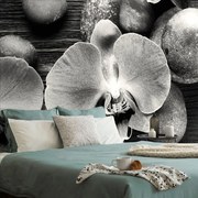 Фототапет – Черно-бяла орхидея и камъни