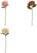 Декоративно стъбло хортензия atmosphera Fria, Асорти, 62 cm