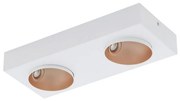 Eglo 39374 - LED Димируема лампа RONZANO 2xLED/3,3W/230V