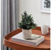 Eglo 428028 - Изкуствено растение в саксия CHITOSE 23x18 см