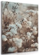 Картина на платно – Растение памук