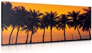 Картина на платно – Залез над палмите