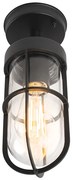 Рустикална външна таванна лампа черна със стъкло IP44 - Elza