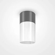 MAYTONI Плафон Уилис - O418CL-01GR