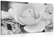 Картина на платно – Пълен с рози в черно-бяло изпълнение