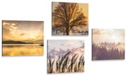 Комплект картини – Природни красоти
