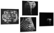 Комплект картини – Животни в черно-бял стил