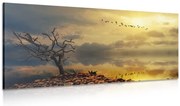 Картина на платно – Изсъхнало дърво