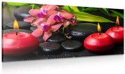 Картина на платно – Успокояващ Зен натюрморт