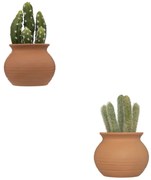 Изкуствено растение atmosphera Cactus Ali, 16.5 cm, Различни видове