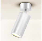 Brilagi - Спот за баня SELE 1xGU10/30W/230V IP44 лъскав хром