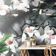 Самозалепващ фототапет – Пробуждаща се магнолия