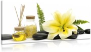 Картина на платно – Лилия и уелнес натюрморт