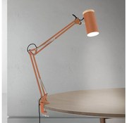 Orion - Настолна лампа с щипка GILI 1xE27/40W/230V в цвят тухла