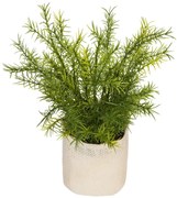 Изкуствено растение atmosphera Factory, 25 cm, Различни видове