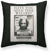 Калъфка за възглавница Harry Potter Sirius Black Черен 50 x 50 cm