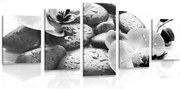 картини от 5 части – Красива игра на камъни и орхидея в черно-бяло