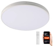 Immax NEO 07146-W42 - LED Димируема лампа NEO LITE 24W/230V Tuya Wi-Fi + д.у.