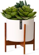 Fox & Fern Thorn, саксия, със стойка, стил 50-те, 2 размера