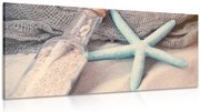 Картина на платно – Морска звезда на плажа