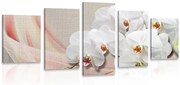 картини от 5 части – Бяла орхидея на платно