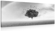 Картина на платно – Самотно дърво на ливада в черно-бяло