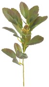 Изкуствена клонка (височина 37 cm) Lemon Tree – Ixia