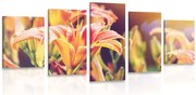 картини от 5 части – Красиви цъфтящи цветя в градината