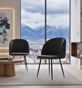 Фотьойл Zera-черен (2) парчета