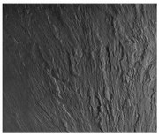 WENKO 2713550100 - Защитна подложка за плот SLATE 60x50 cm пъстроцветна