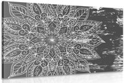Картина на платно – Текстура Мандала в черно-бяло