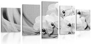 картини от 5 части – Орхидея на платно в черно-бяло