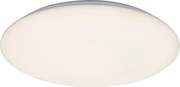 Rabalux Rorik Таванно осветление (плафони) IP20 LED 24W 4000 71124