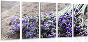 картини от 5 части – Букет от лавандула