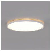LED баня таванно осветително тяло NIVERA LED/24W/230V IP54 Ø30 см бяло