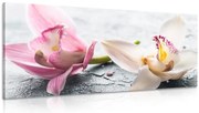 Картина на платно – Цветя на орхидея