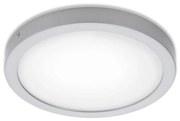 Briloner 7141-414 - LED Плафон FIRE LED/21W/230V 4000K