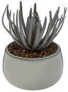 Изкуствено растение Аtmosphera