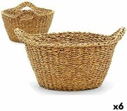 Кош Кафяв Морски водорасли 25 L (6 броя)