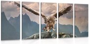 картини от 5 части – Орел с разперени крила над планините