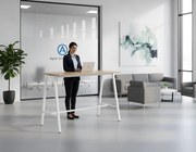 Бюро AlphaDesk II-Leuko-Sonoma