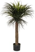Изкуствено растение atmosphera Tropics, 150 cm