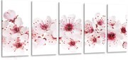 картини от 5 части – Черешови цветове