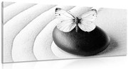 Картина на платно – Зен камък с пеперуда в черно-бяло