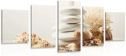 картини от 5 части – Зен камъни с черупки