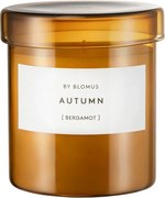 Ароматна свещ от соев восък с време на горене 45 час Valoa Autumn – Blomus
